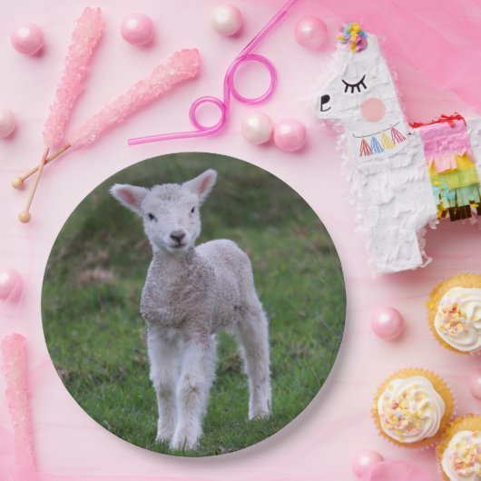 Lamb Baby Sheep Farm Pappteller (Party)