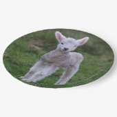 Lamb Baby Sheep Farm Pappteller (Schrägansicht)