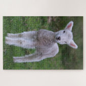 Lamb Baby Sheep Farm Puzzle (Horizontal)