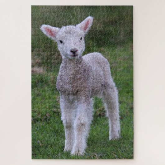 Lamb Baby Sheep Farm Puzzle (Vertikal)