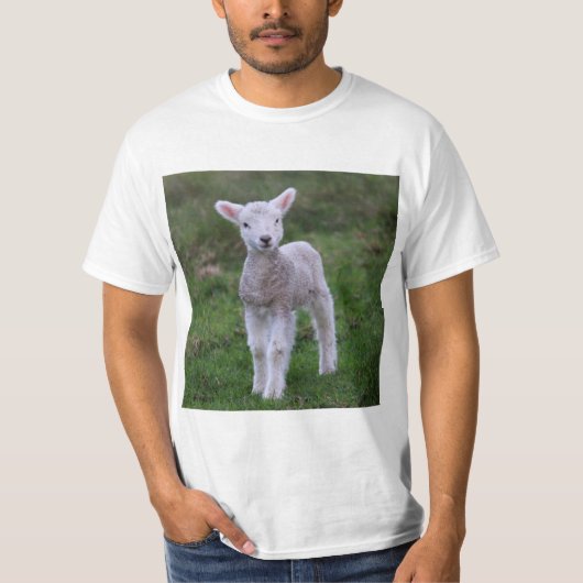 Lamb Baby Sheep Farm T-Shirt (Vorderseite)