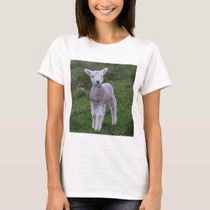 Lamb Baby Sheep Farm T-Shirt