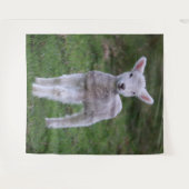 Lamb Baby Sheep Farm Wandteppich (Vorderseite (Horizontal))