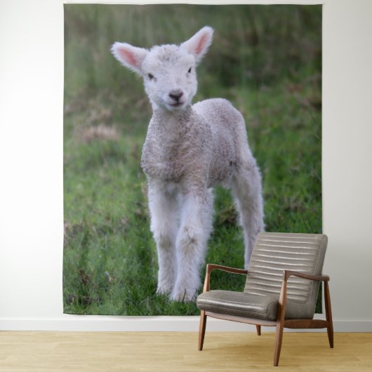 Lamb Baby Sheep Farm Wandteppich (Beispiel)