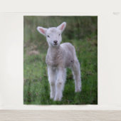 Lamb Baby Sheep Farm Wandteppich (Vorderseite)
