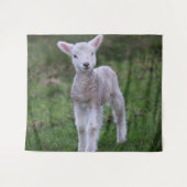 Lamb Baby Sheep Farm Wandteppich (Vorderseite (Horizontal))