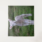 Lamb Baby Sheep Farm Wandteppich (Vorderseite)