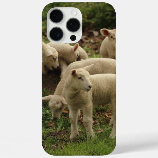 Lamb Case-Mate iPhone hülle (Rückseite)