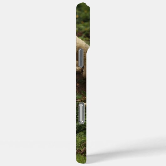 Lamb Case-Mate iPhone hülle (Rückseite / Rechts)