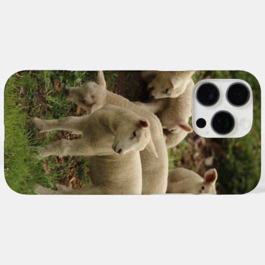 Lamb Case-Mate iPhone hülle (Rückseite (Horizontal))
