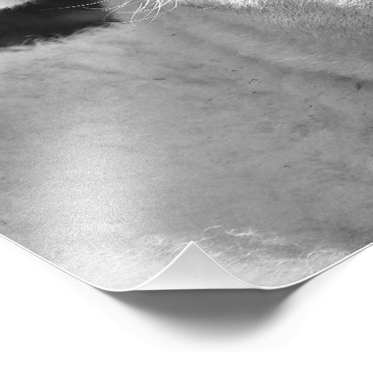 LAMB FOTODRUCK (Ecke)