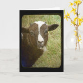 Lamb-Geburtskarte Karte (Gelbe Blume)