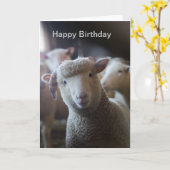 Lamb Happy Birthday Card Karte (Gelbe Blume)