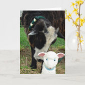Lamb Meet Lamb jedes Anlasses Karte (Gelbe Blume)