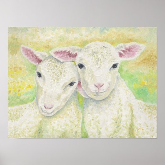 Lamb Pair Poster (Vorne)