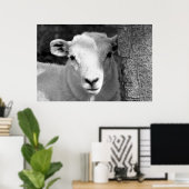 LAMB POSTER (Heimbüro)