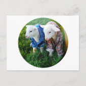 Lamb-Postkarte Postkarte (Vorderseite)