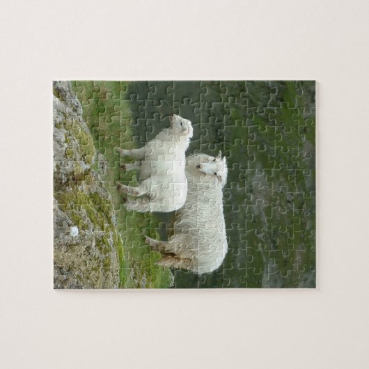 Lamb & Schafe - Schottland/Britische Landschaft Puzzle (Horizontal)