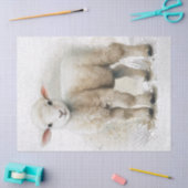 Lamb Sheep Watercolor Seidenpapier (Basteln)