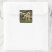 Lamb-Square-Aufkleber Quadratischer Aufkleber (Tasche)