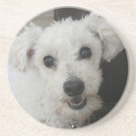 Lambchop II Sandstein Untersetzer