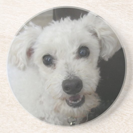 Lambchop II Sandstein Untersetzer (Vorne)