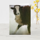 Lambchops Karte (Gelbe Blume)