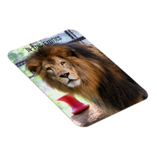 Lamber Magnet (Rechte Seite)