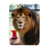 Lamber Magnet (Vertikal)