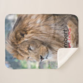 Lamber -  sherpadecke (Vorderseite (Horizontal))