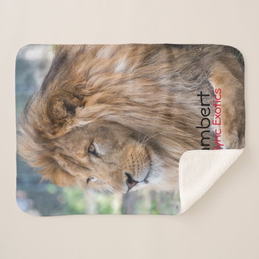 Lamber -  sherpadecke (Vorderseite (Horizontal))