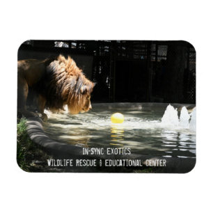 Lambert - Flexible Foto Magnet