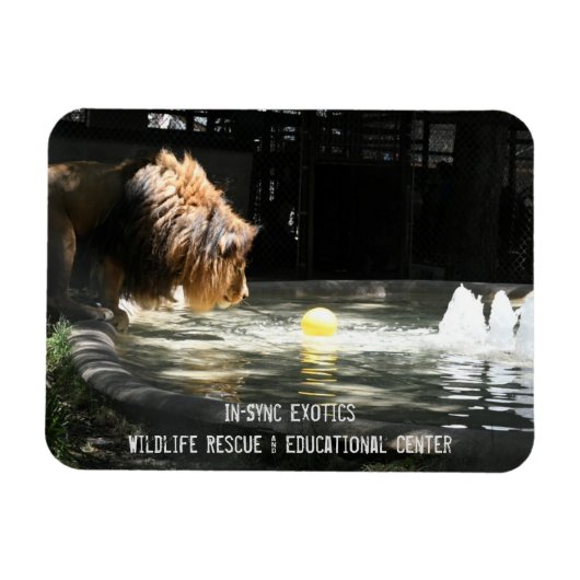 Lambert - Flexible Foto Magnet (Horizontal)