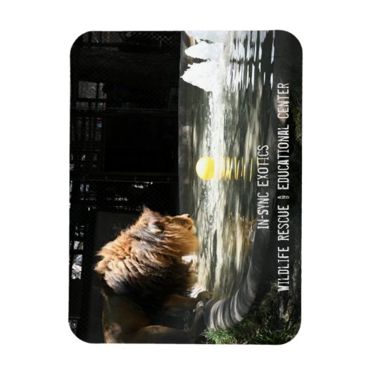 Lambert - Flexible Foto Magnet (Vertikal)