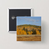Lambert Hollow, Aspen Button (Vorne & Hinten)
