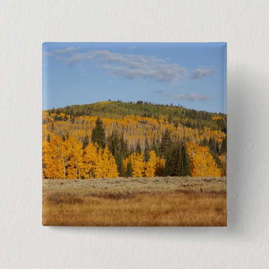 Lambert Hollow, Aspen Button (Vorderseite)