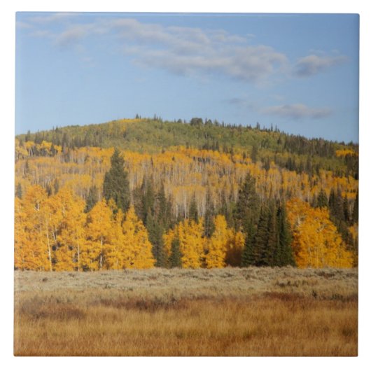 Lambert Hollow, Aspen Fliese (Vorderseite)