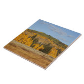 Lambert Hollow, Aspen Fliese (Seite)