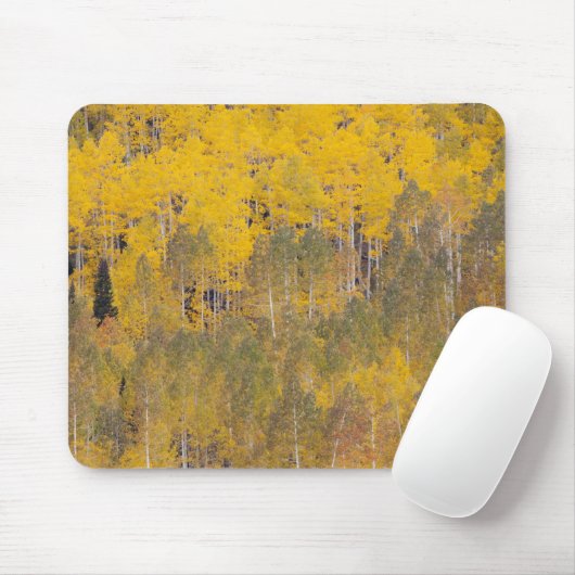 Lambert Hollow, Aspen Mousepad (Mit Mouse)