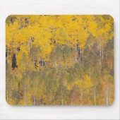 Lambert Hollow, Aspen Mousepad (Vorne)
