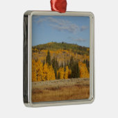 Lambert Hollow, Aspen Ornament Aus Metall (Rechts)