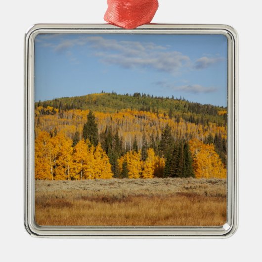 Lambert Hollow, Aspen Ornament Aus Metall (Vorne)