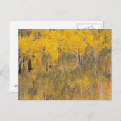 Lambert Hollow, Aspen Postkarte (Vorne/Hinten)