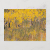 Lambert Hollow, Aspen Postkarte (Vorderseite)