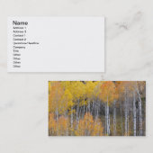 Lambert Hollow, Aspen Visitenkarte (Vorne/Hinten)