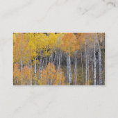 Lambert Hollow, Aspen Visitenkarte (Rückseite)