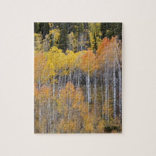Lambert Hollow, Espen Puzzle (Vertikal)