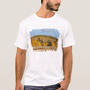 Lambert Hollow, Espen T-Shirt