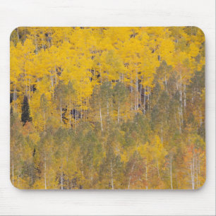 Lambert Hollow, Espenbäume Mousepad