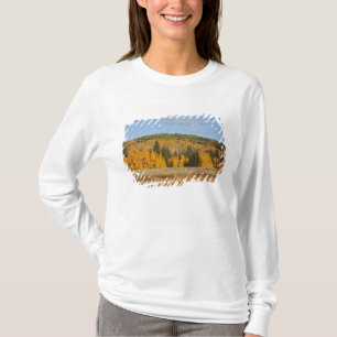 Lambert Hollow, Espenbäume T-Shirt